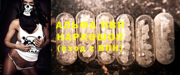 мяу мяу кристалл Богданович
