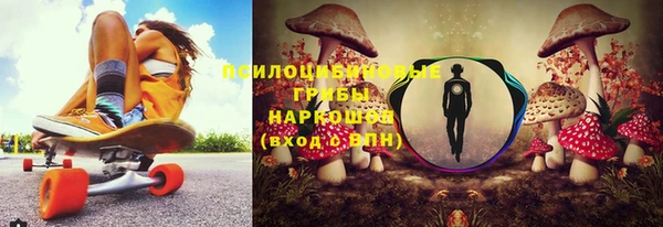 мяу мяу кристалл Богданович