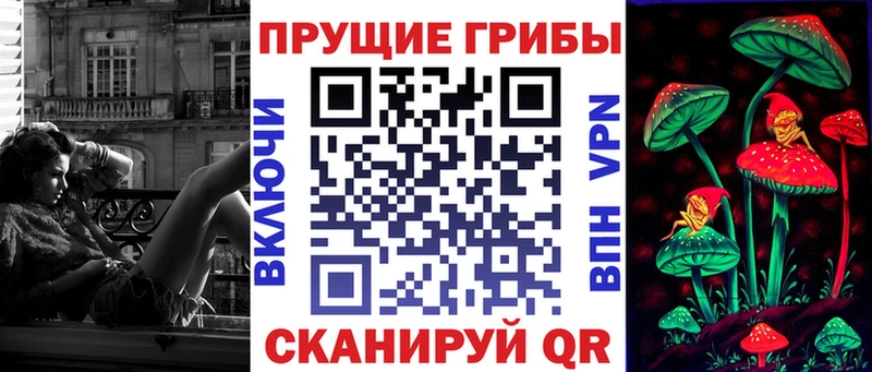 это телеграм  блэк спрут рабочий сайт  Крым  Галлюциногенные грибы Psilocybe 